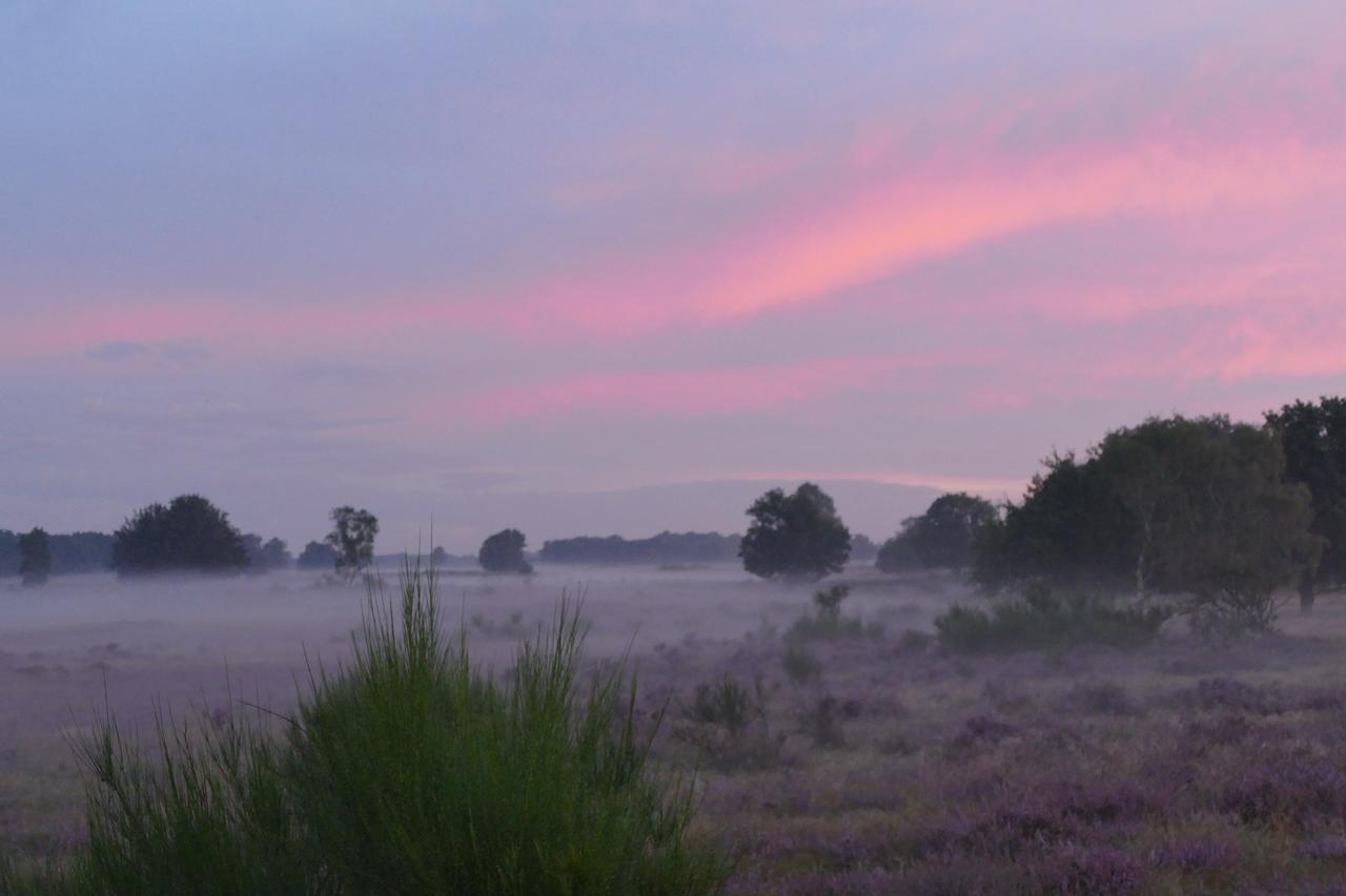 De Vrolijcke Bosmuis Bed & Breakfast Bergeijk Dış mekan fotoğraf